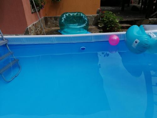 Gabrovo House | Guest House Tsveti-Trqvna
