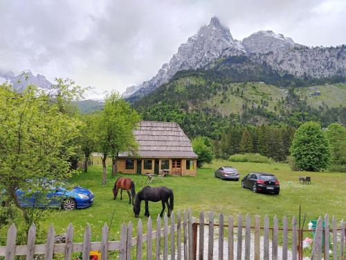 Valbone House | Guest house2