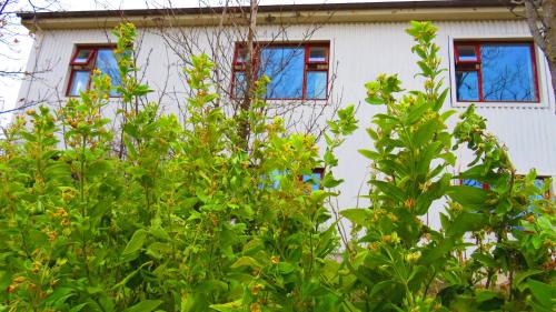 Hofn House | Guesthouse Kálfafellsstadur