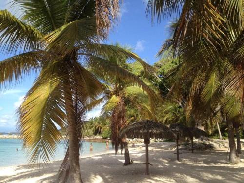 Anse des Rochers Apartment | Gwadakreyol