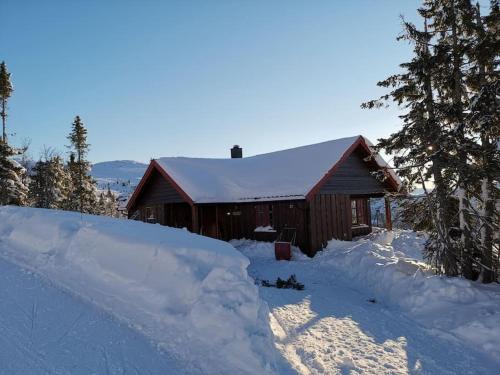 Flaa House | Høyfjellshytte
