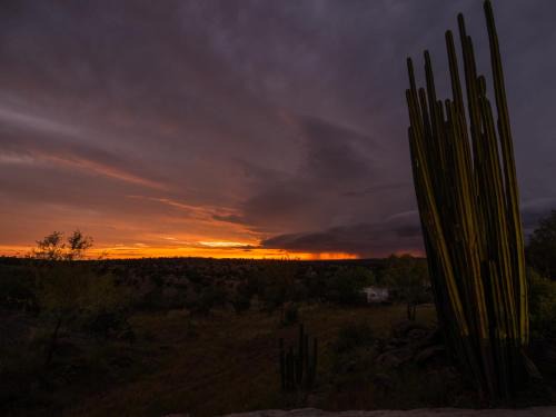 Windhoek Cabin | Halala Africa Lodge - Eagle Rock Lodge