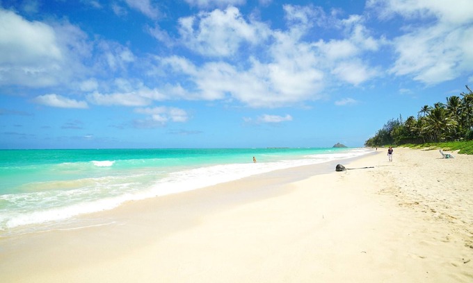 Kailua House | Hale Oahu Cottage by Avantstay Stunning Beachfront Estate!