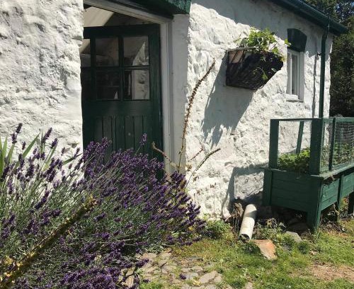 Abergele House | Hapus Yurt - Two Beautiful Yurts and Barn Cottage