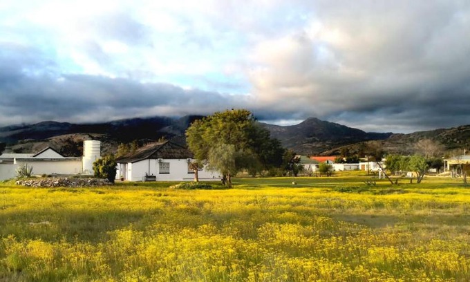 Kamieskroon House | Harry's Place Guesthouse