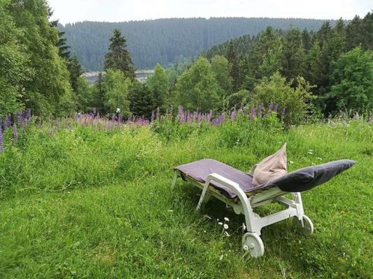 Schulenberg im Oberharz Apartment | Harz-See-Lodge