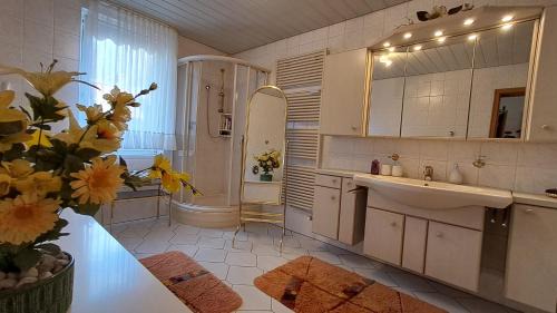Altenau Apartment | Harz-Sonne 2