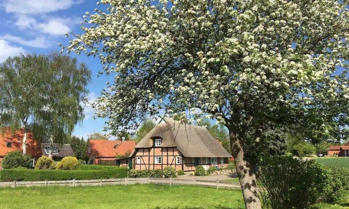 Schmiedendorf House | Haus-Ruhe-unter-Reet