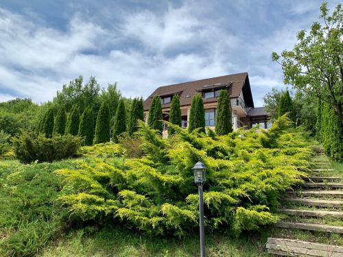 Cocorastii Mislii House | Hidden Hills Villa