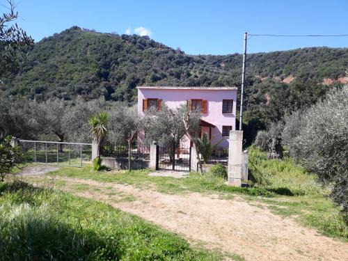 Platanias House | Hidden House in Nature