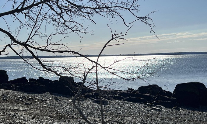 Camden Hotel | High Tide Inn