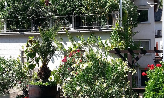 Mainz-Bingen Apartment | Hiking in the Middle Rhine