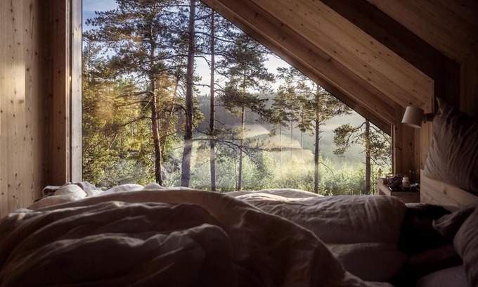 Inga Hotel | Hilltop Forest