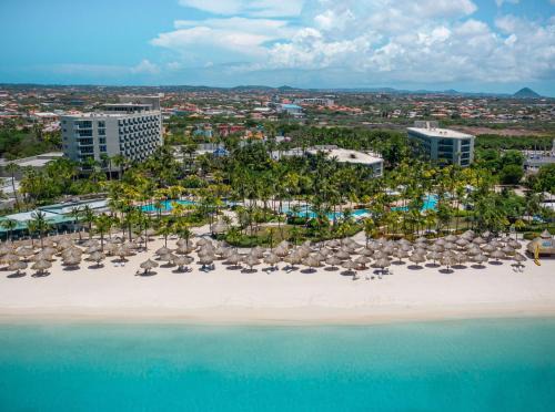 Palm Beach Resort | Hilton Aruba Caribbean Resort & Casino