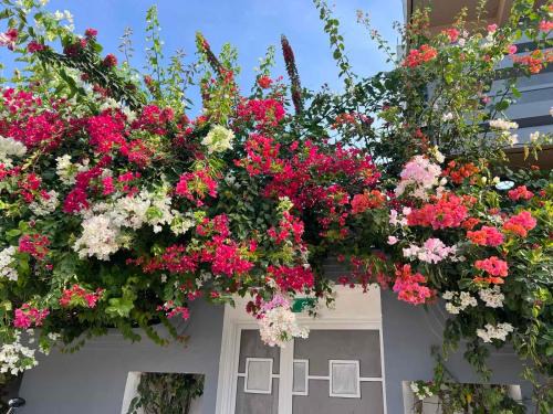 Manadhoo House | Hiri Inn