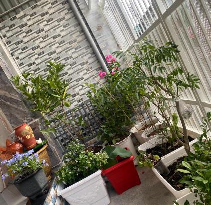 Dat Do House | Hiwinwin Homestay Holiday