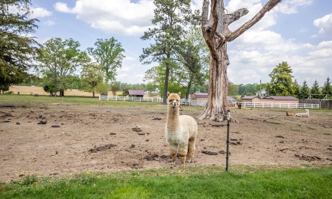 Bel Air House | Hobbit House one of a kind home
