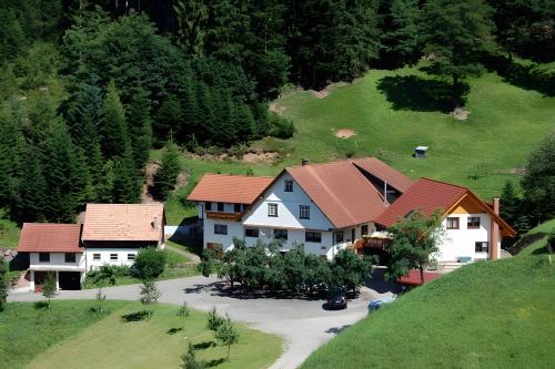 Bad Peterstal-Griesbach Apartment | Holderstanzenhof