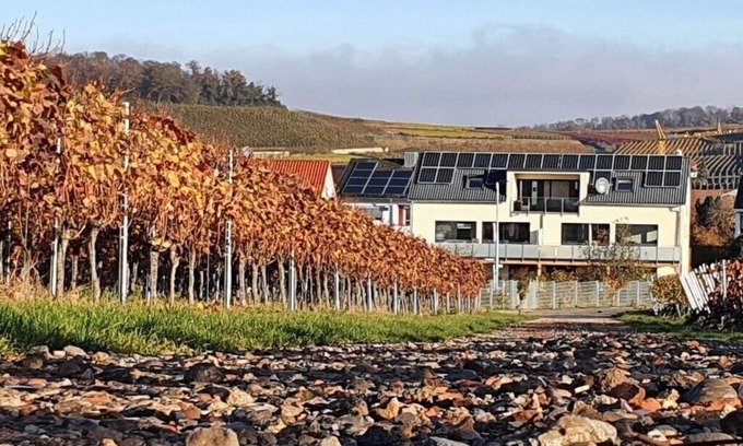 Vogtsburg House | Holiday apartment in Vogtsburg-Bischoffingen with 1 bedroom