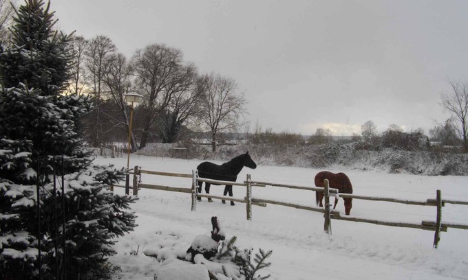 Lubben Apartment | Holiday apartment on a horse farm