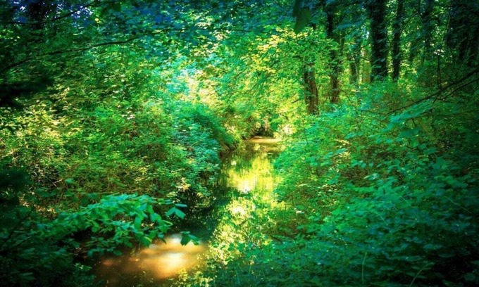 Brakel House | Holiday apartment at the castle park