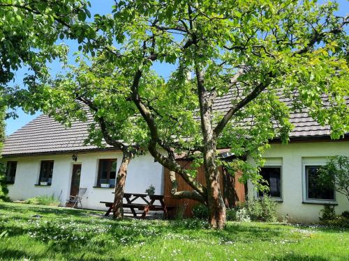 Horni Cerekev House | Holiday Home Chrastov by Interhome