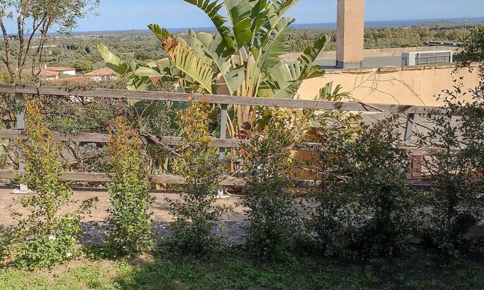 Is Molas Villa | Holiday Home 'Erika House Is Molas' immersed in the green with Sea View and Wi-Fi