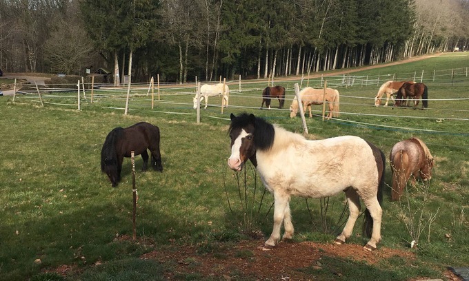 Givonne House | Holiday Home 'Gîte Le Clos Du Bannet' with Wi-Fi