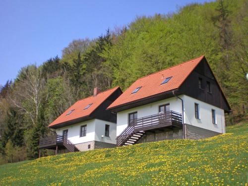 Starkov House | Holiday Home Stárkov by Interhome