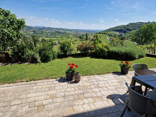 Brezice House | Holiday Home Vinea View - 4 Thermal Spas Nearby