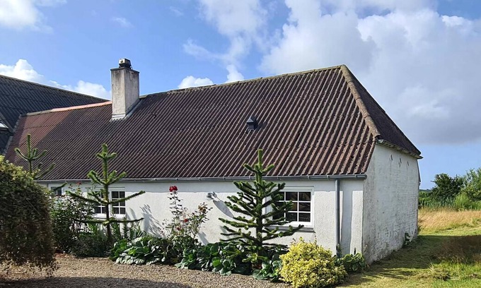 Bøvlingbjerg House | Holiday in a cozy farmhouse with horses