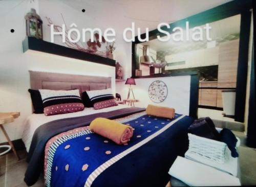 Salies-du-Salat Apartment | Home du salat