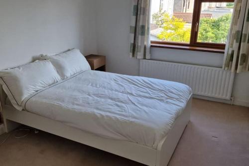 Monkstown House | Home in Monkstown