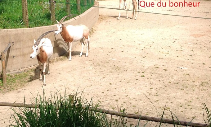 Fleury House | Homerez - Beautiful house for 6 ppl. with garden at Fleury