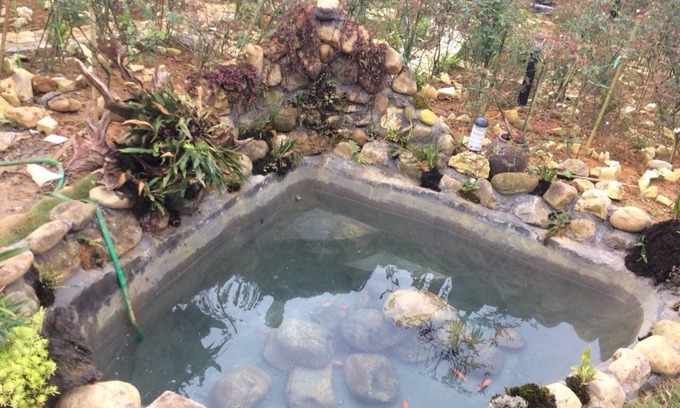 Lao Cai House | Homestay Vuon Hong Co