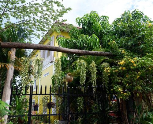Siem Reap House | Homestay Yellow Natural House