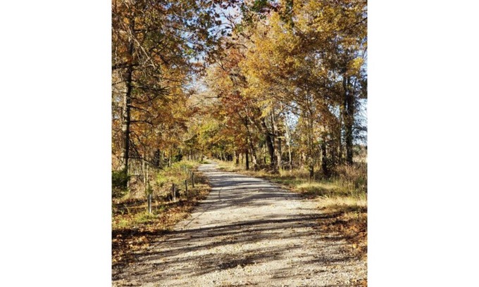 Henry County Cabin | Honey Creek Hideaway at Back Country Camp