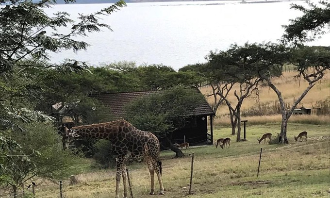 Albert Falls Apartment | Hoopoe log cabin