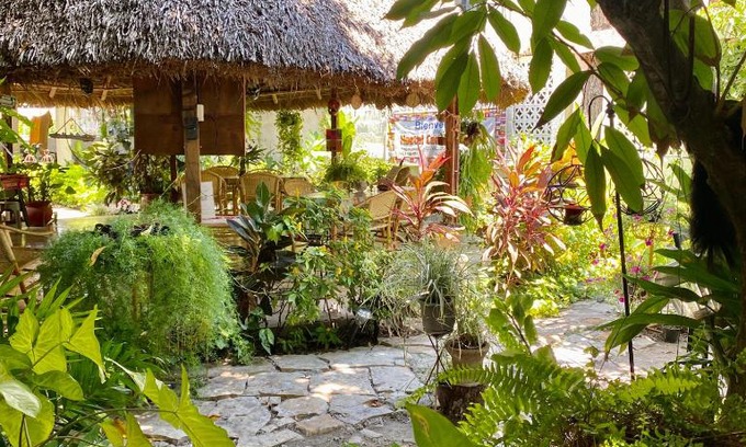 Zona Centro House | Hostal Casa Huasteca