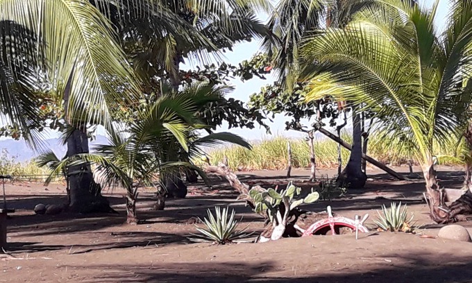 Canas Cabin | Hostal Pachamama