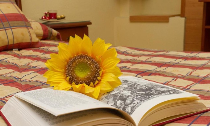 El Espinar House | Hostal Siete Picos