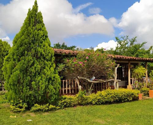 Pinchote House | Hostal Sueño Real Campestre