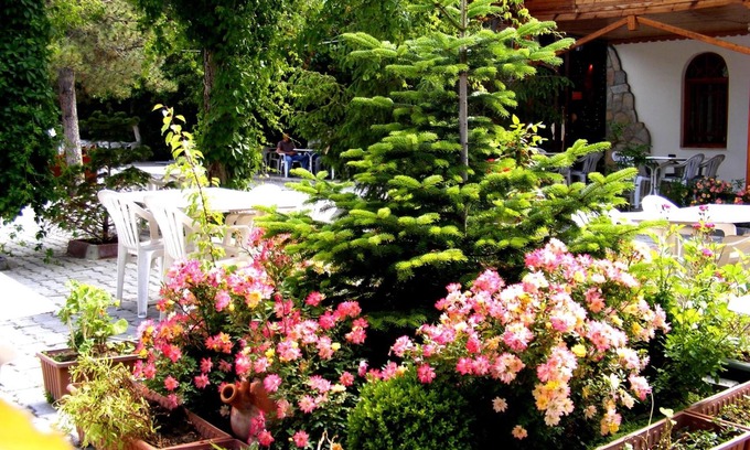 Bogazkale Hotel | Hotel Asikoglu