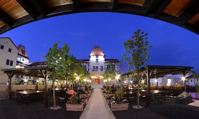 Mosnita Noua Hotel | Hotel Castel Royal