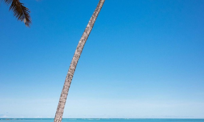 Jatiuca Hotel | Hotel Ciribaí