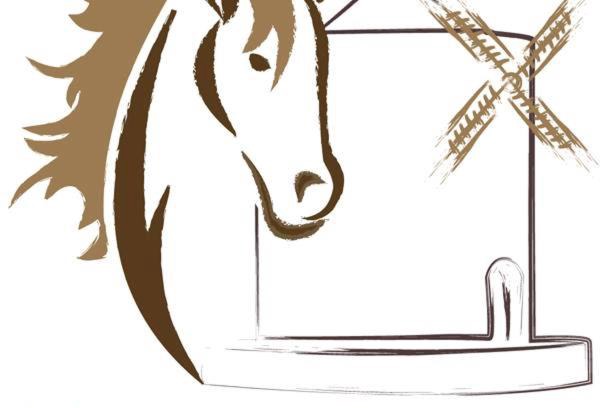 Albinia Hotel | Hotel Dory