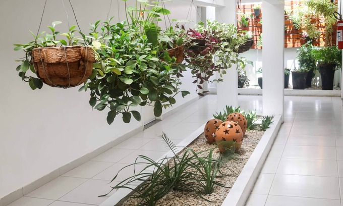 Penedo Hotel | Hotel Encantos De Penedo