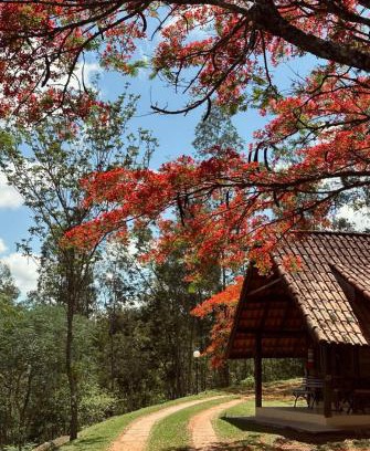 Ouro Fino House | Hotel Fazenda Menino da Porteira