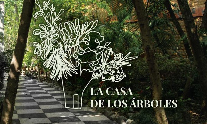 Zacaulpan de Amilpas Hotel | Hotel La Casa de los Árboles Immersive Experience