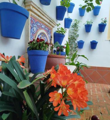 Santiago Hotel | Hotel La Ribera